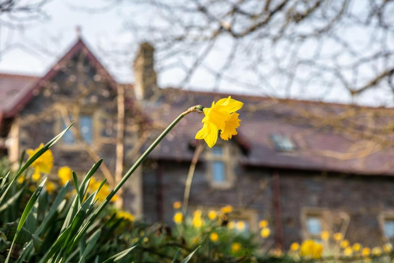 Penrhiw Priory Pensionat St. Davids  Exteriör bild