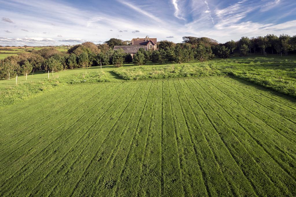 Penrhiw Priory Pensionat St. Davids  Exteriör bild