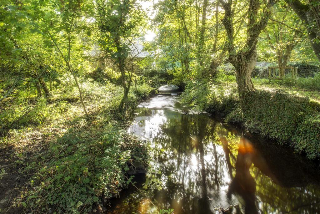 Penrhiw Priory Pensionat St. Davids  Exteriör bild