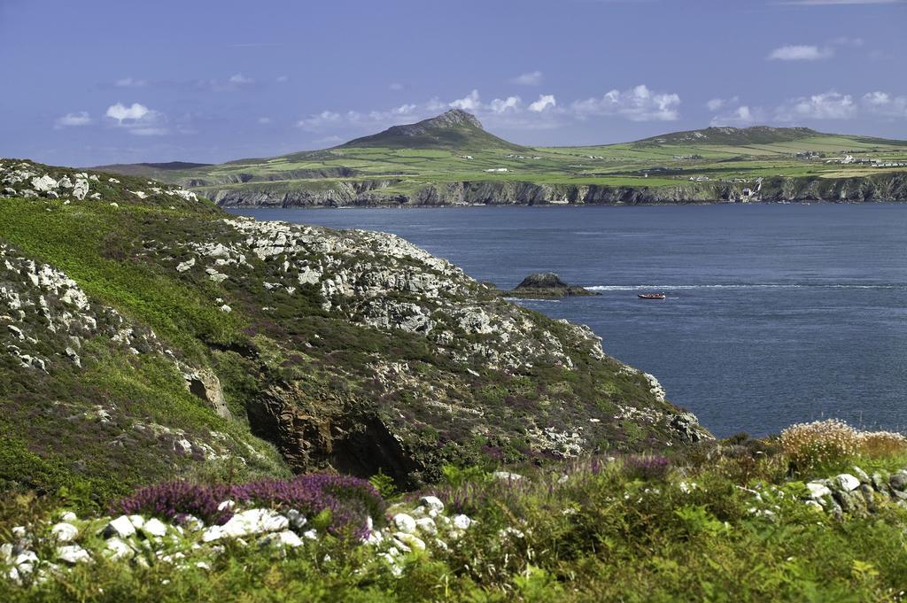 Penrhiw Priory Pensionat St. Davids  Exteriör bild